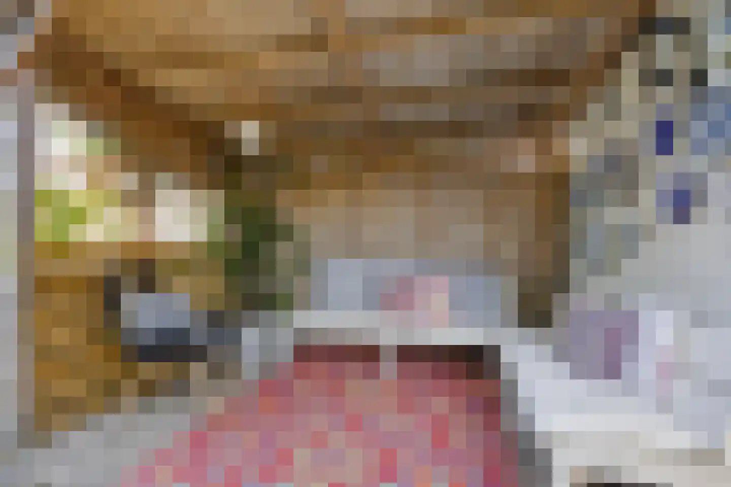 Bolsiusstraat 25 Geldrop thumbnail 34