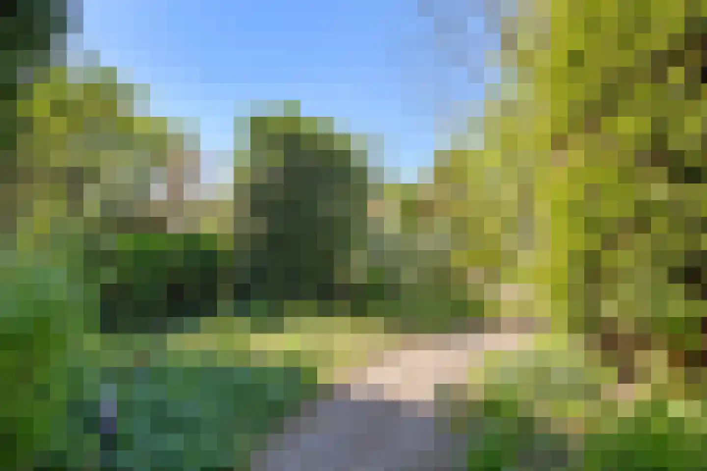 Bolsiusstraat 25 Geldrop thumbnail 36