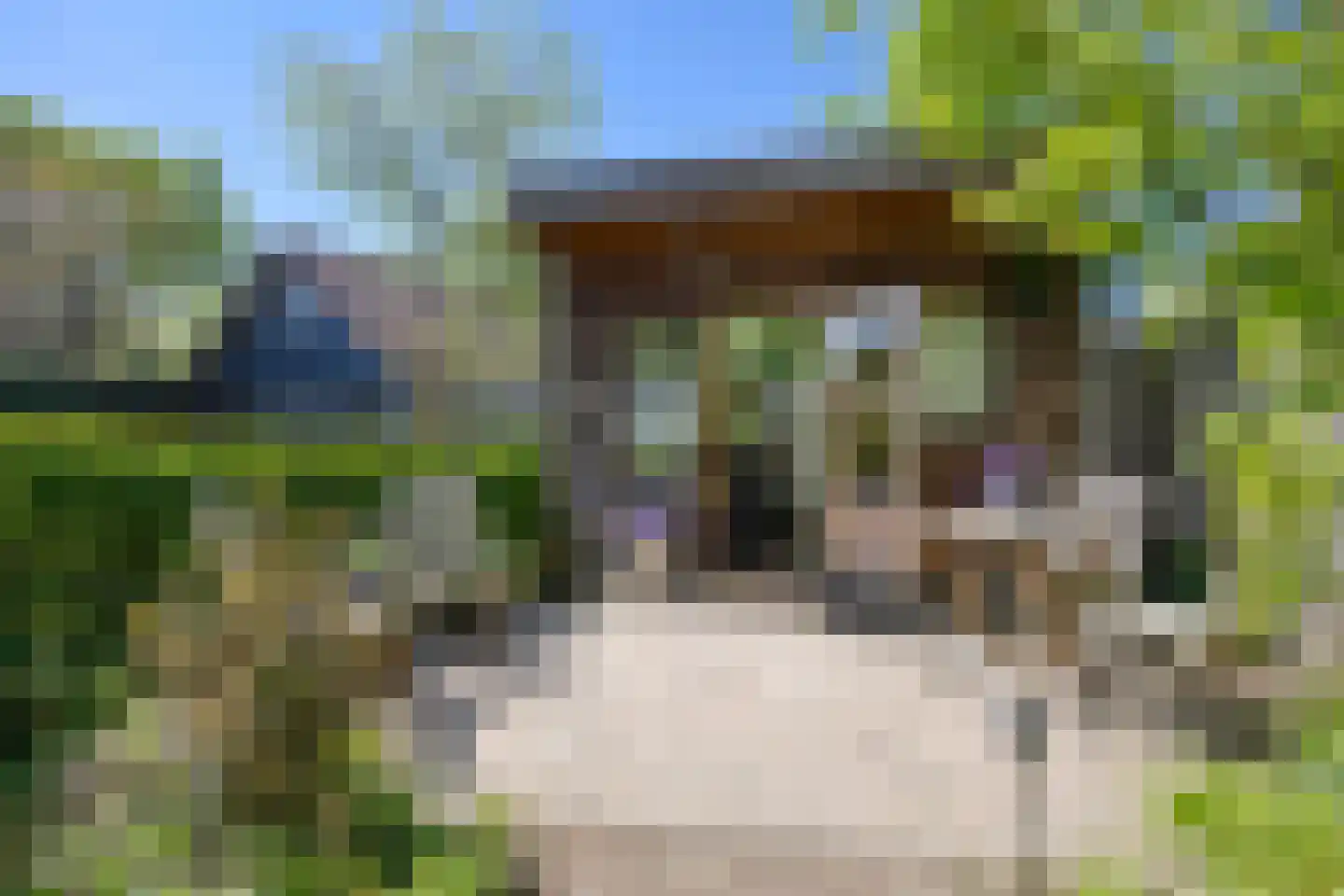 Bolsiusstraat 25 Geldrop thumbnail 37
