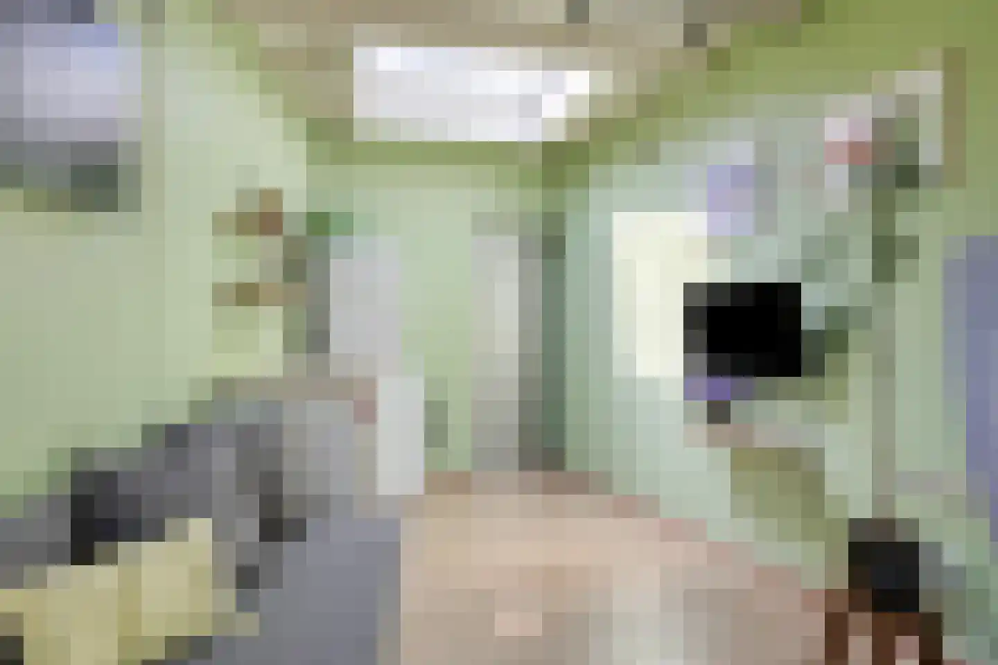 Bolsiusstraat 25 Geldrop thumbnail 38