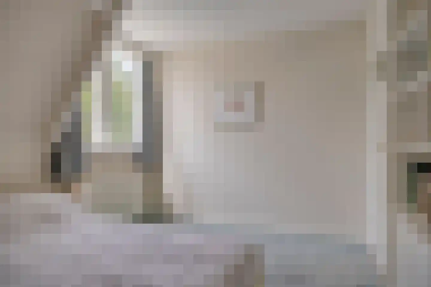 Bolsiusstraat 3 Geldrop thumbnail 21