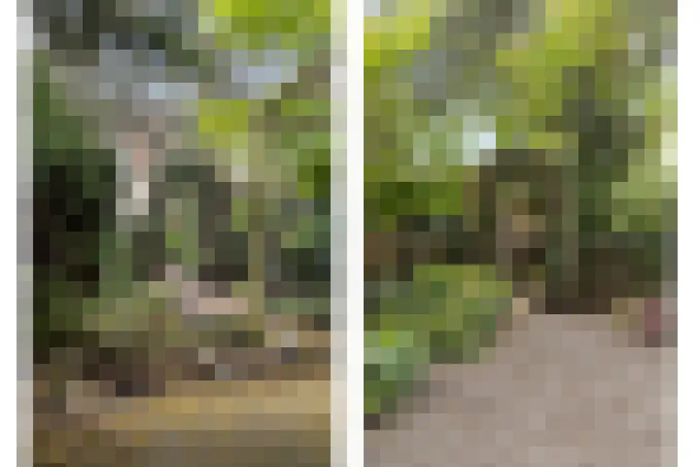 Bolsiusstraat 3 Geldrop thumbnail 25
