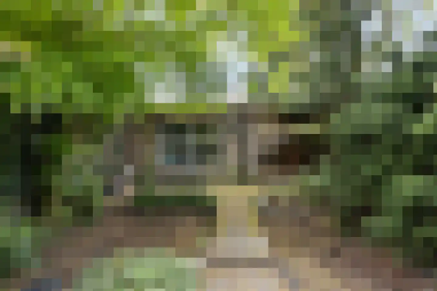 Bolsiusstraat 3 Geldrop thumbnail 26