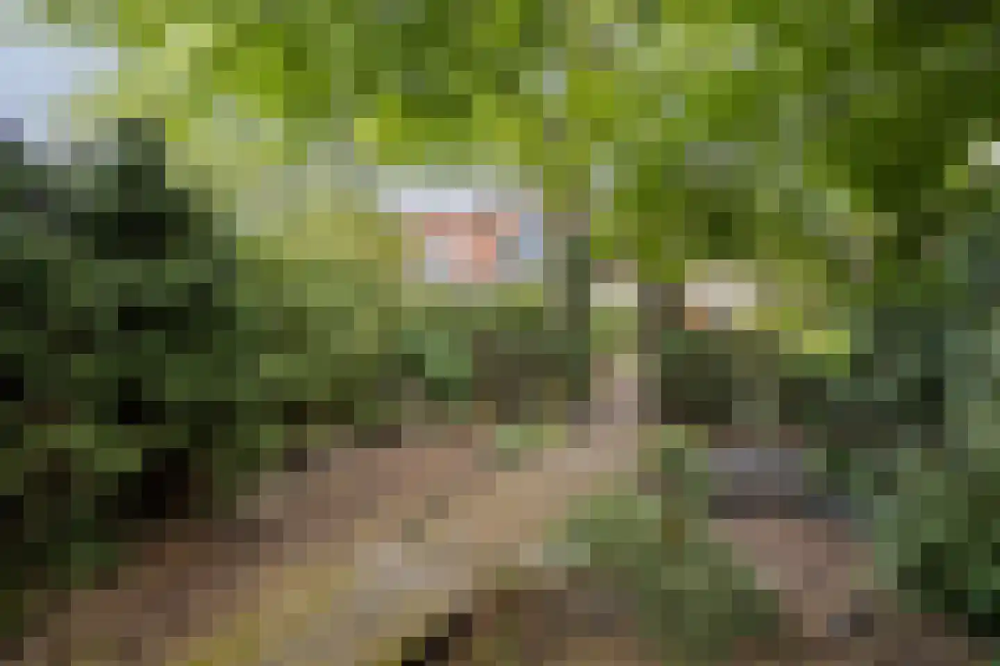 Bolsiusstraat 3 Geldrop thumbnail 28