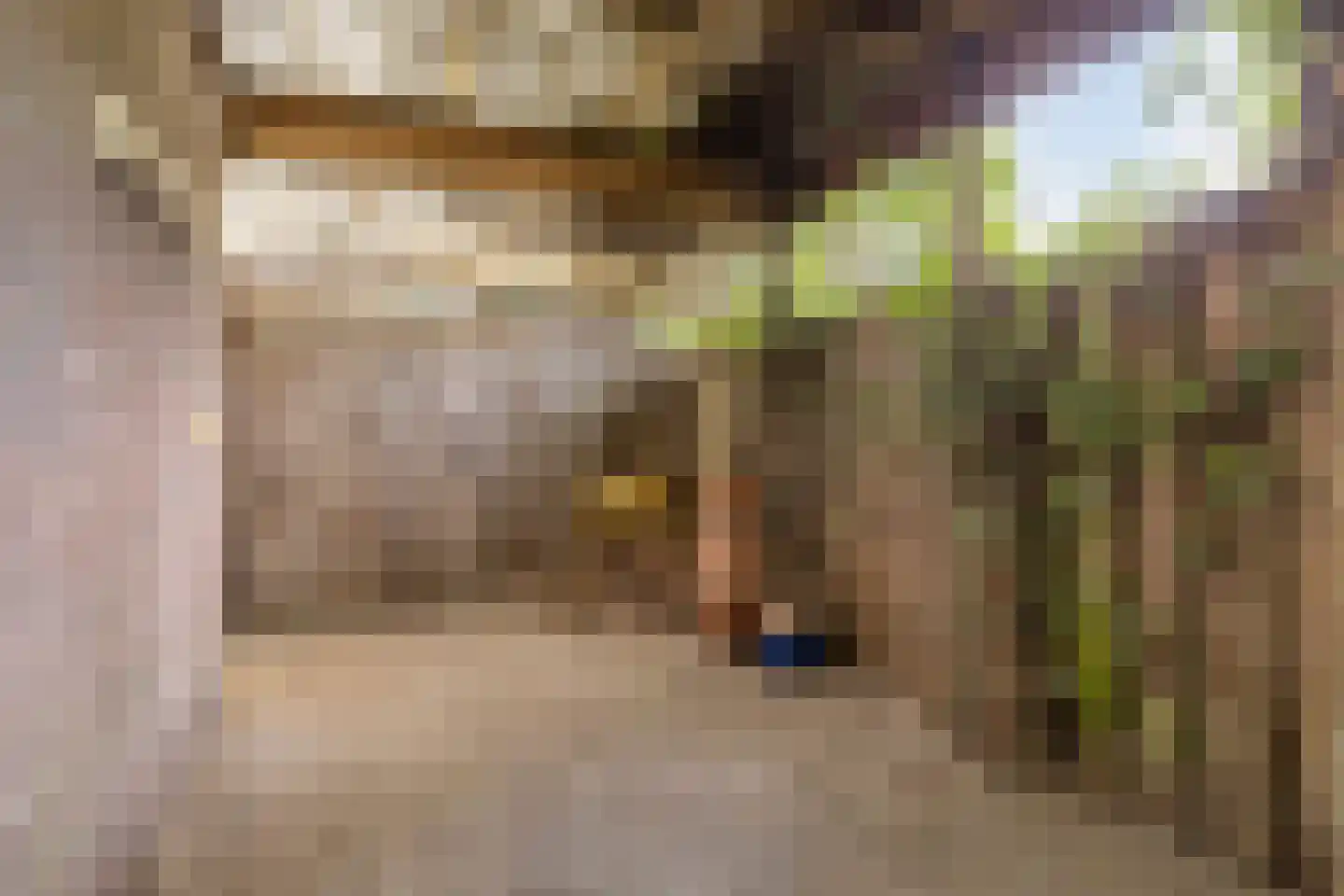 Bolsiusstraat 3 Geldrop thumbnail 31