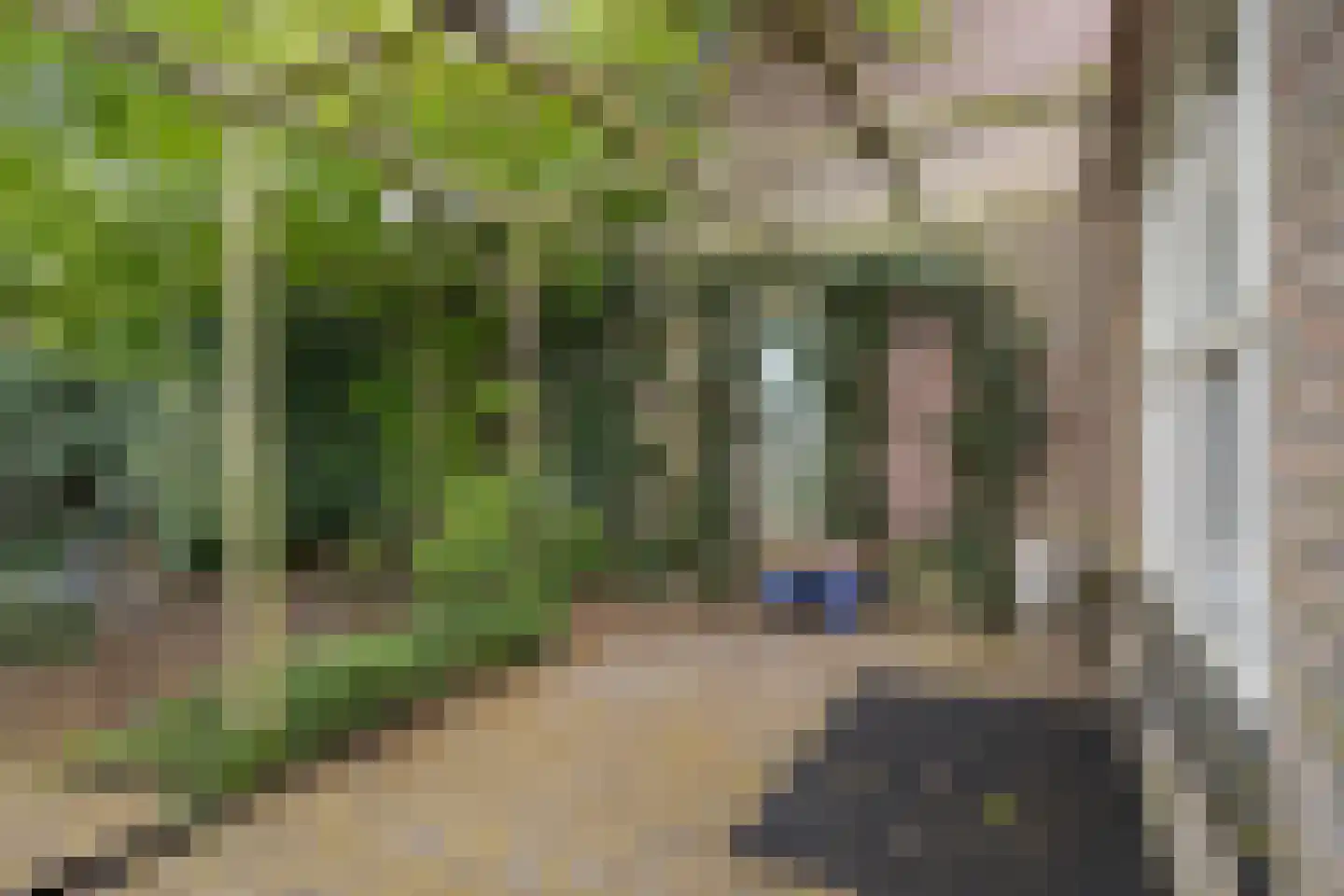 Bolsiusstraat 3 Geldrop thumbnail 32