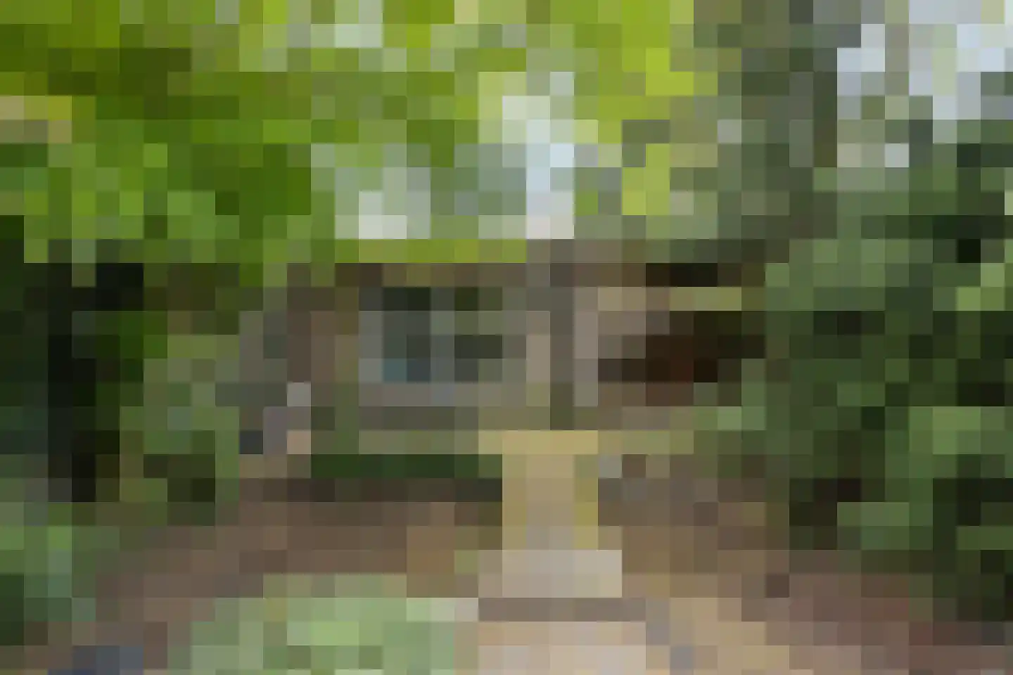 Bolsiusstraat 3 Geldrop thumbnail 5
