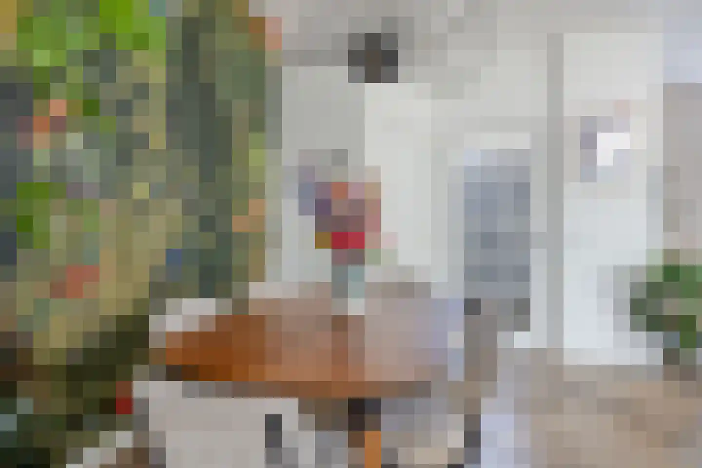 Bolsiusstraat 5 Geldrop thumbnail 16