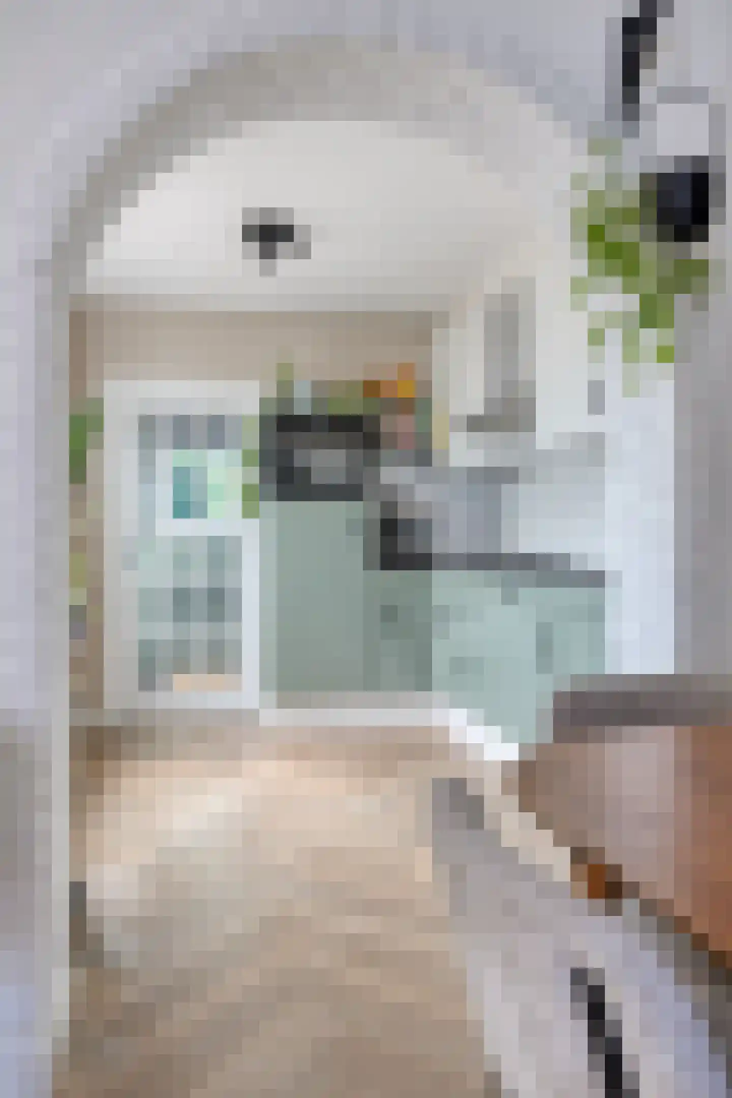 Bolsiusstraat 5 Geldrop thumbnail 21