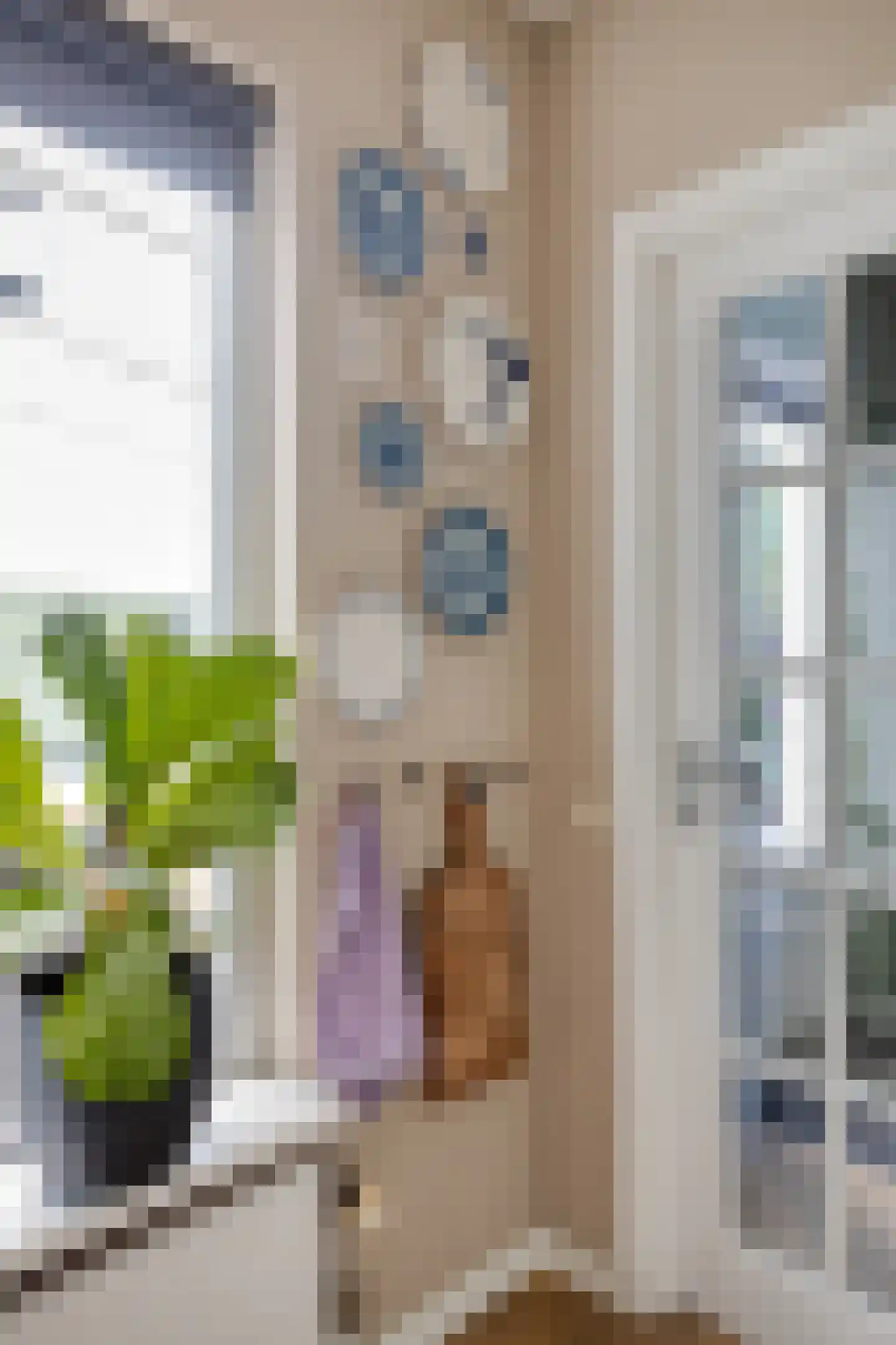 Bolsiusstraat 5 Geldrop thumbnail 24
