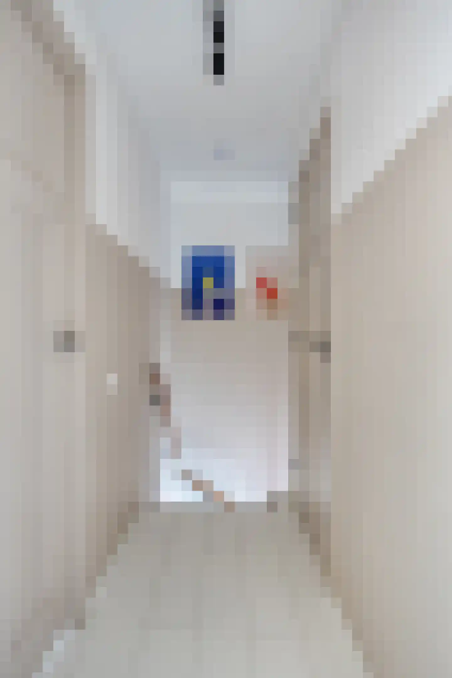 Bolsiusstraat 5 Geldrop thumbnail 28