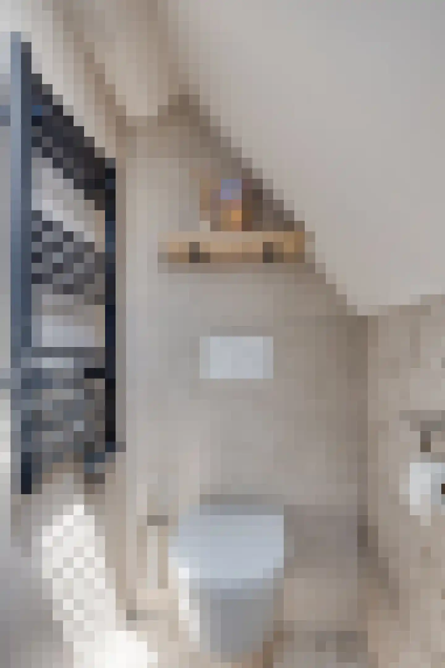 Bolsiusstraat 5 Geldrop thumbnail 33