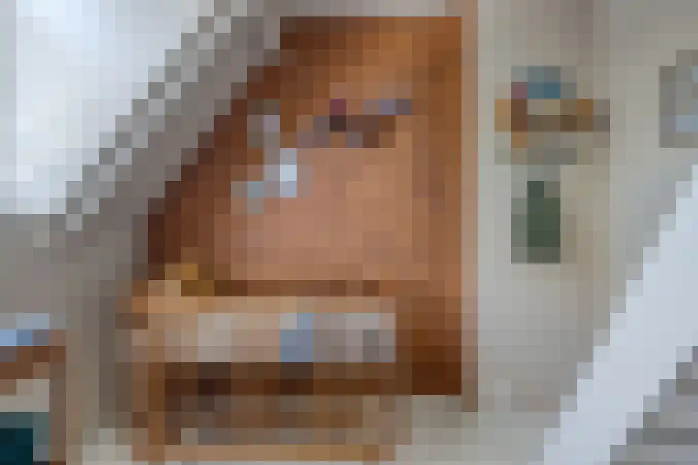 Bolsiusstraat 5 Geldrop thumbnail 34