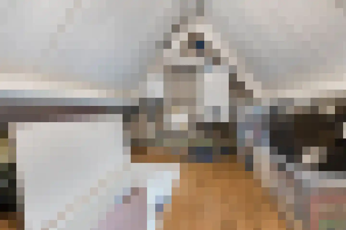 Bolsiusstraat 5 Geldrop thumbnail 38
