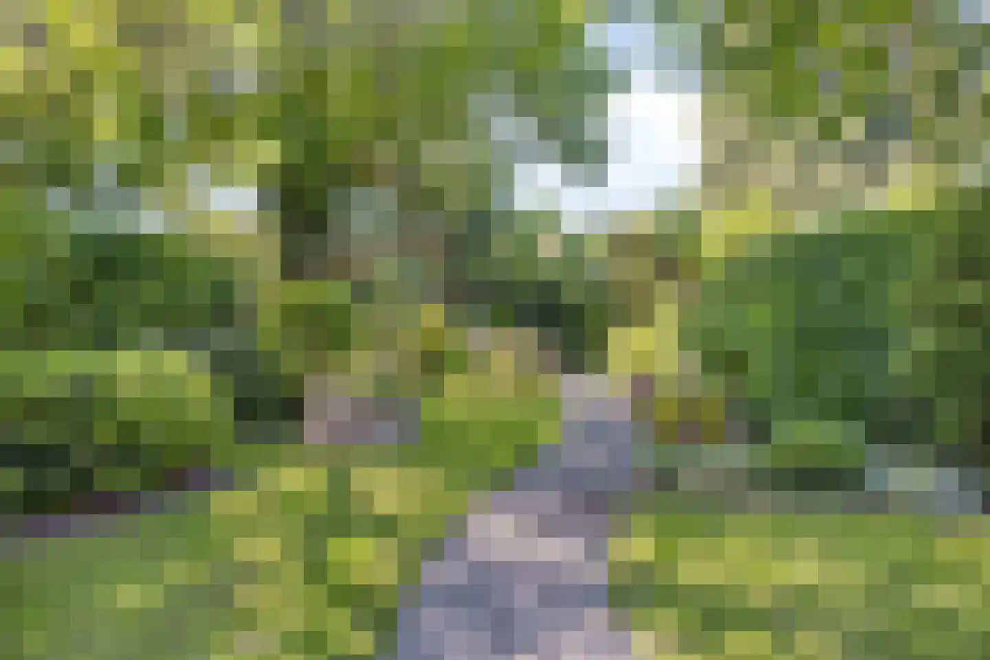 Bolsiusstraat 5 Geldrop thumbnail 4