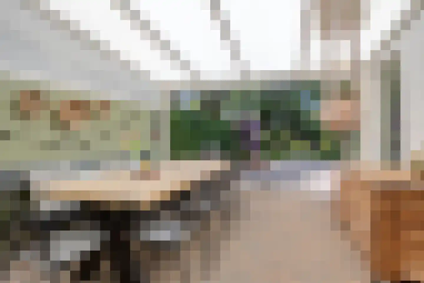 Bolsiusstraat 5 Geldrop thumbnail 40