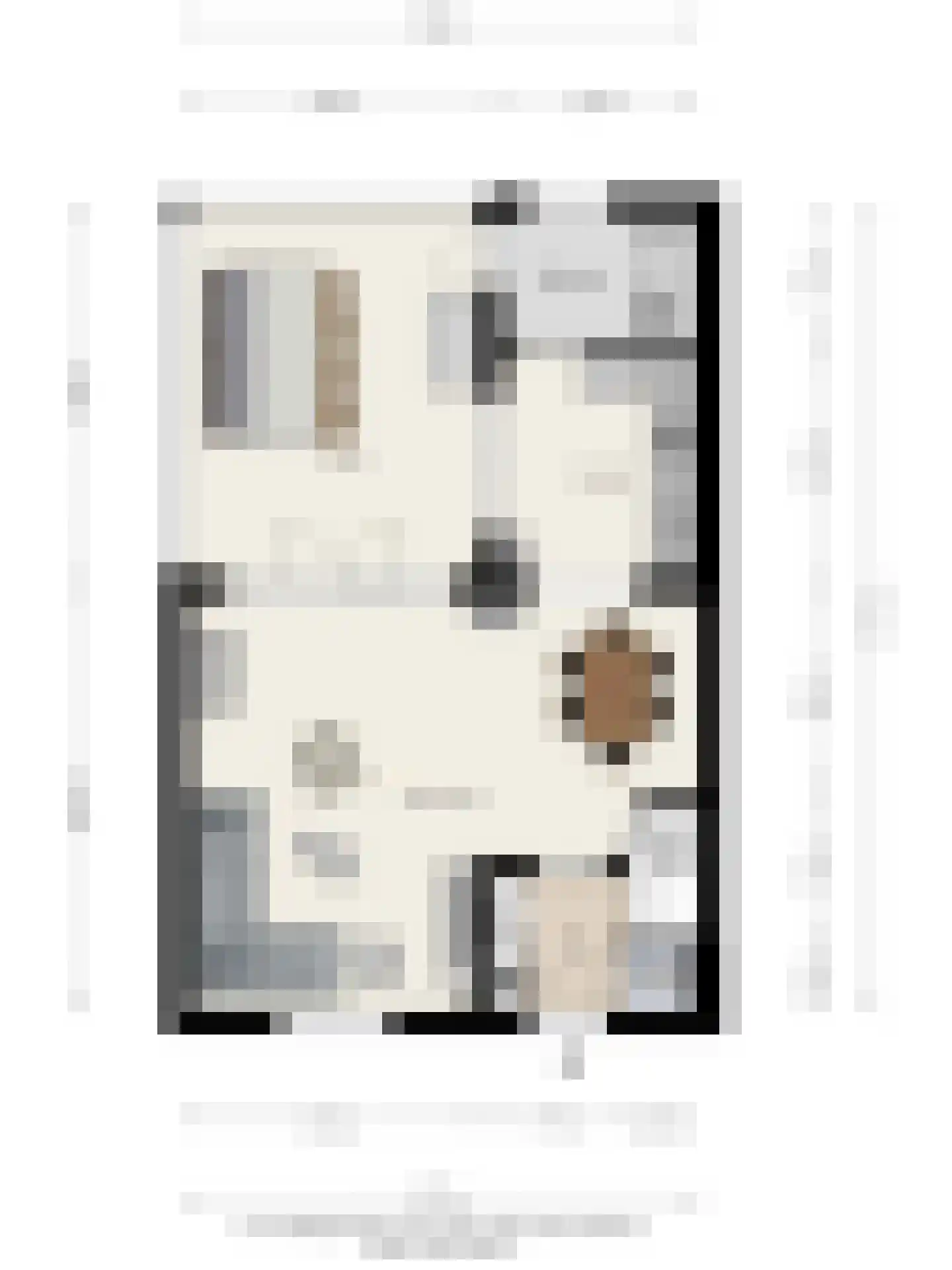 Bolsiusstraat 5 Geldrop thumbnail 45