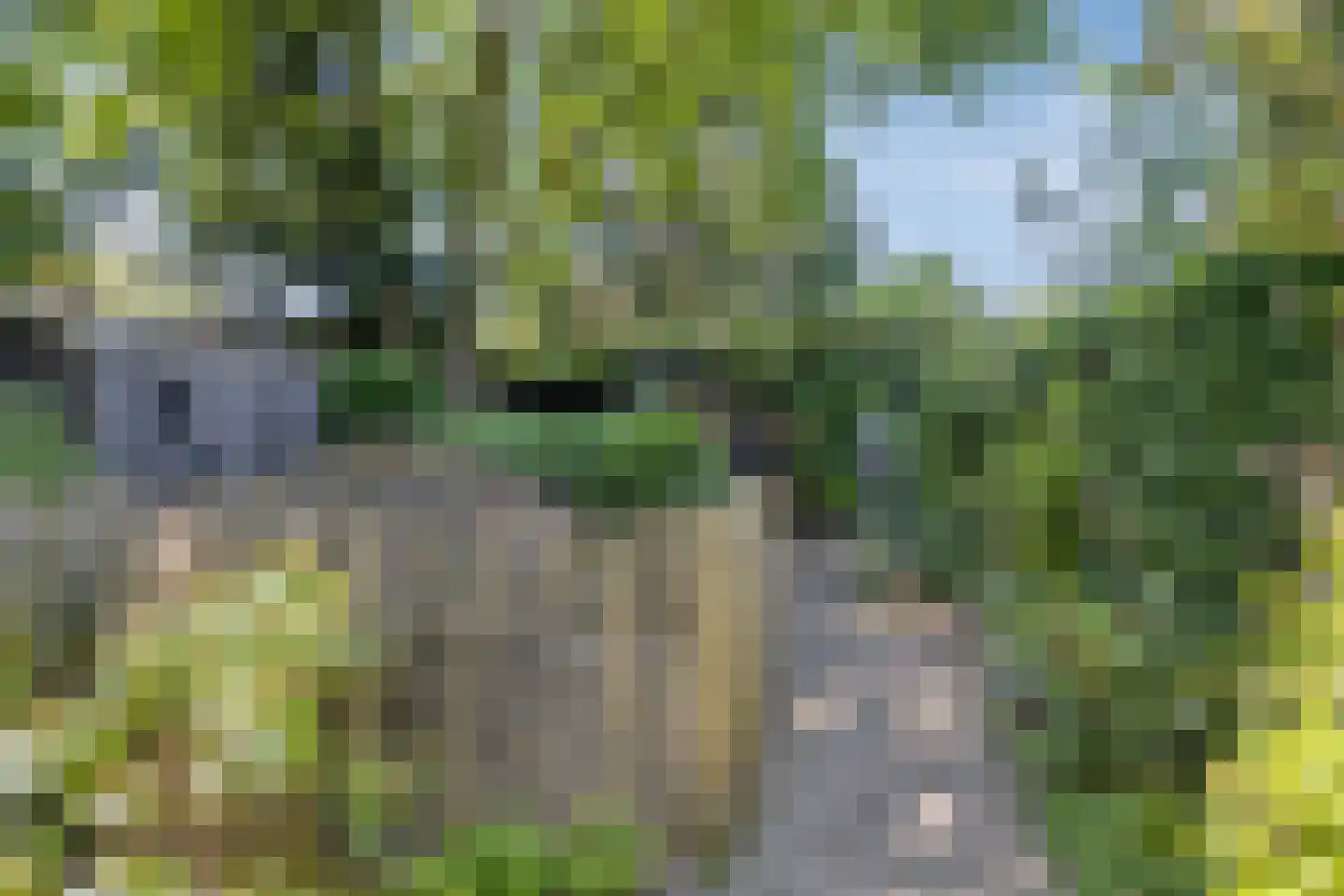 Bolsiusstraat 5 Geldrop thumbnail 7