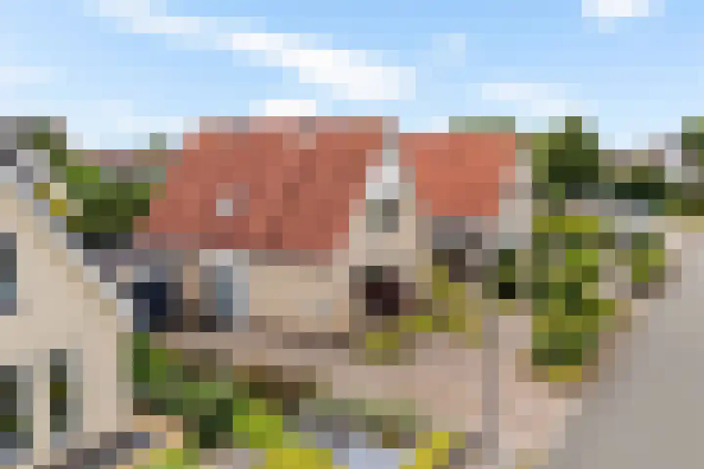 Bolster 105 Heerenveen thumbnail 49