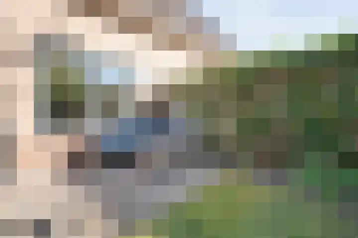 Bolster 11 Zuidwolde thumbnail 41
