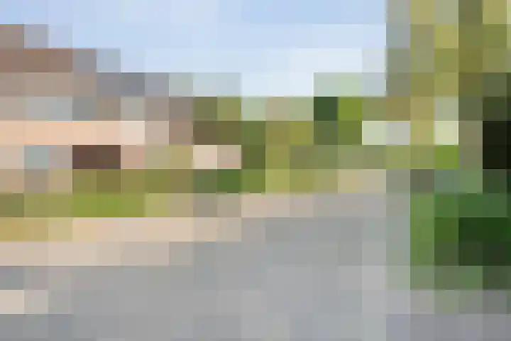 Bolster 11 Zuidwolde thumbnail 47