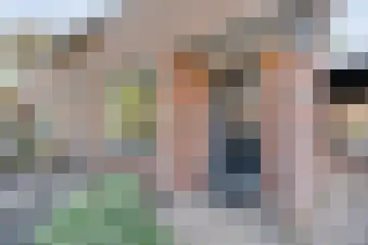 Bolster 11 Zuidwolde thumbnail 7