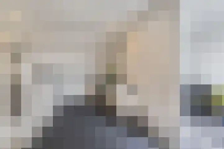 Bolster 25 Heerenveen thumbnail 24