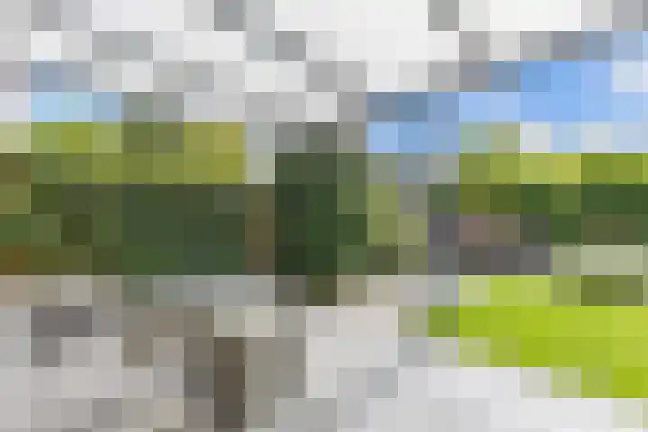 Bolster 25 Heerenveen thumbnail 28