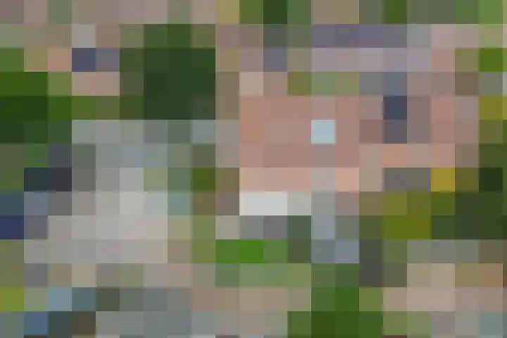 Bolster 25 Heerenveen thumbnail 33