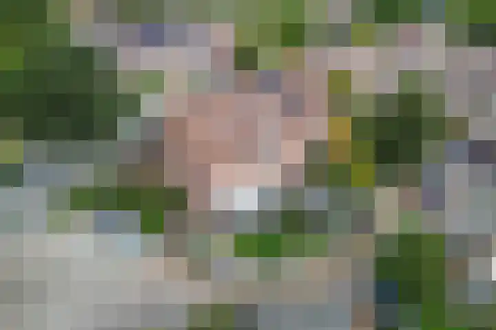 Bolster 25 Heerenveen thumbnail 34