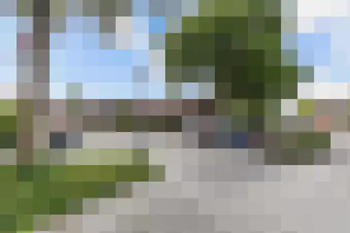 Bolster 25 Heerenveen thumbnail 39