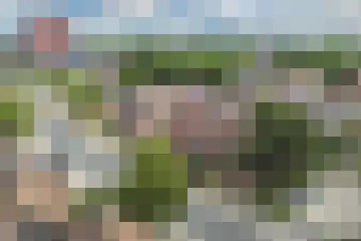 Bolster 25 Heerenveen thumbnail 43