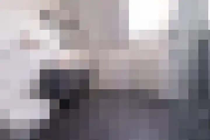 Bolster 25 Peize thumbnail 16