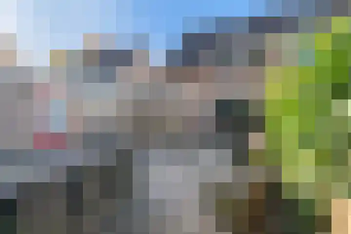 Bolster 25 Peize thumbnail 29