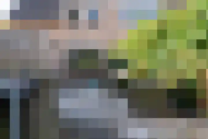 Bolster 25 Peize thumbnail 30