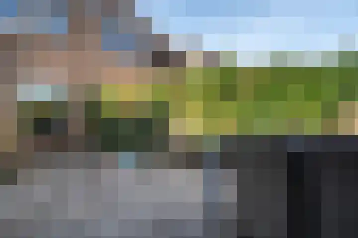 Bolster 25 Peize thumbnail 31