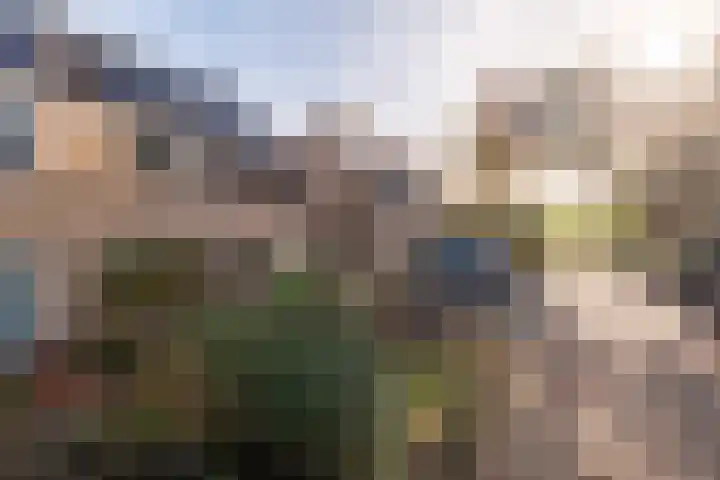 Bolster 25 Peize thumbnail 35