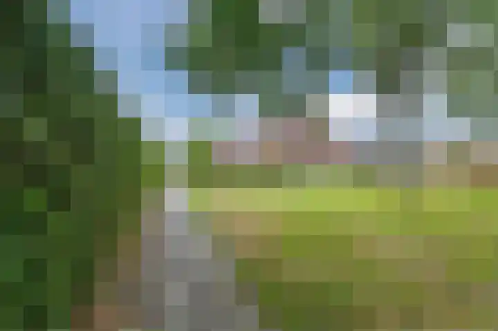 Bolster 7 Peize thumbnail 48