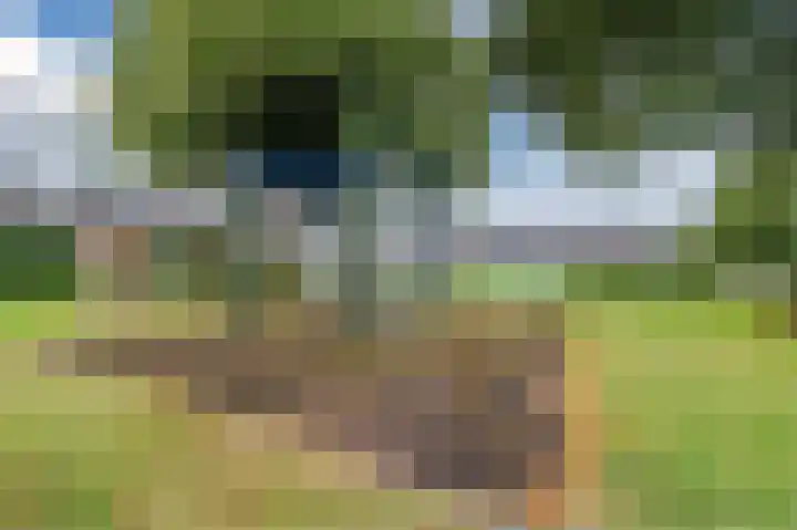 Bolster 7 Peize thumbnail 50