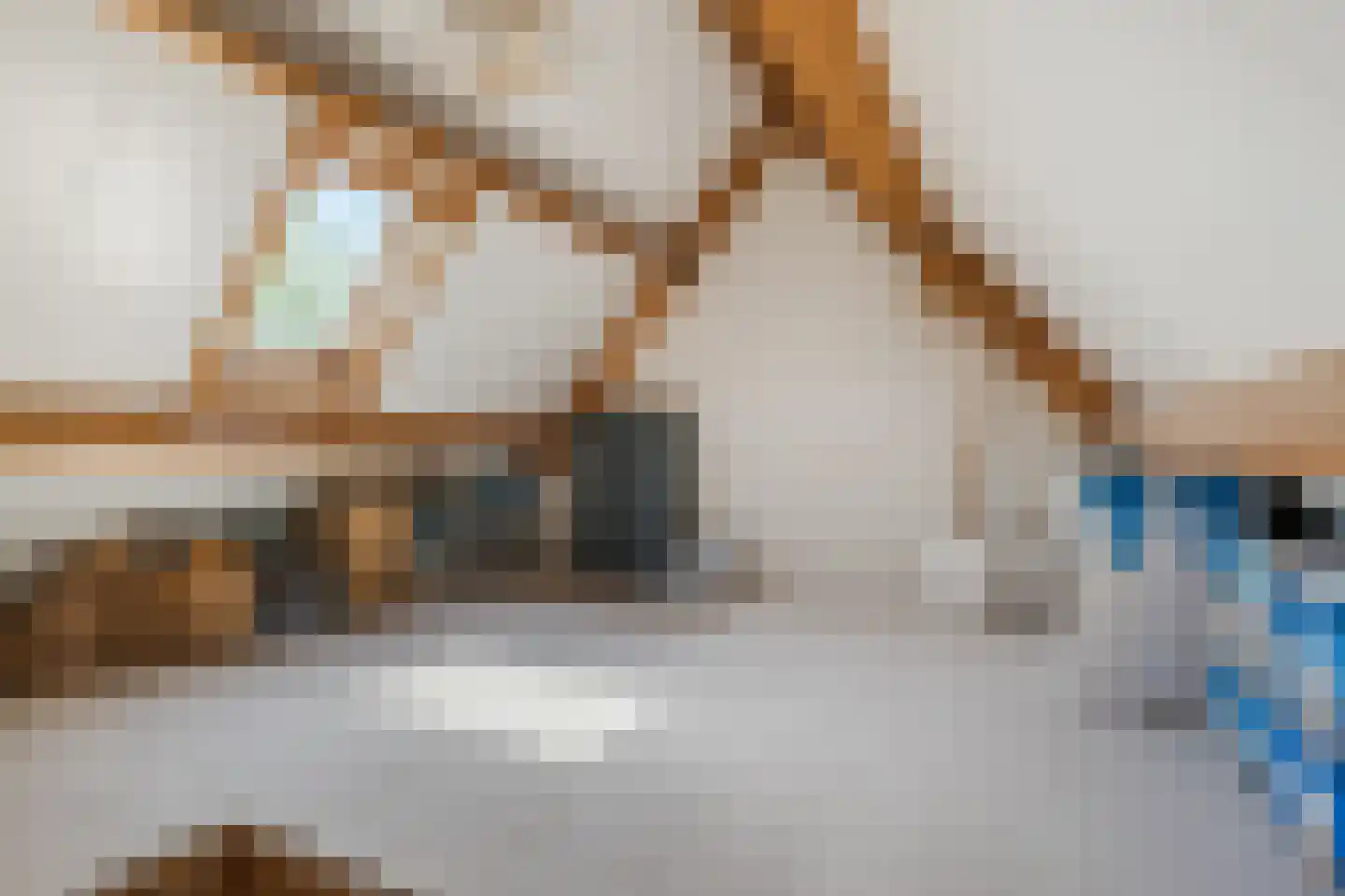 Bolster 9 Zuidwolde thumbnail 30
