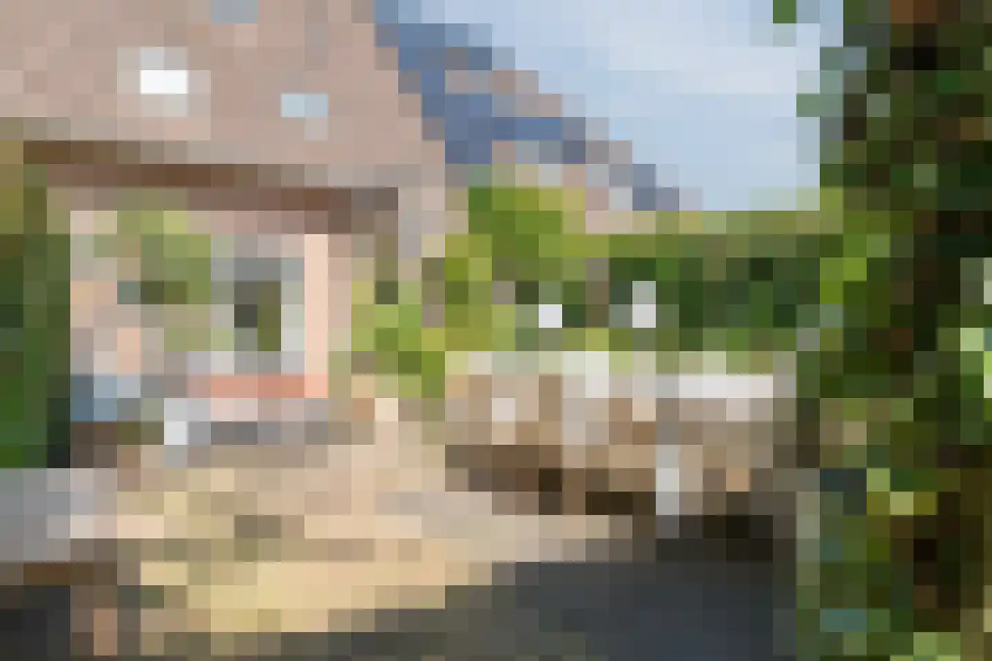 Bolster 9 Zuidwolde thumbnail 32