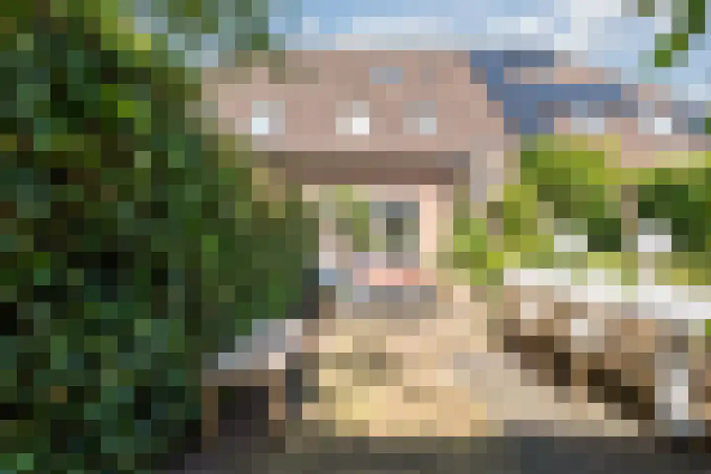 Bolster 9 Zuidwolde thumbnail 33
