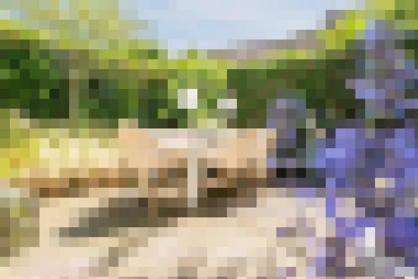Bolster 9 Zuidwolde thumbnail 34