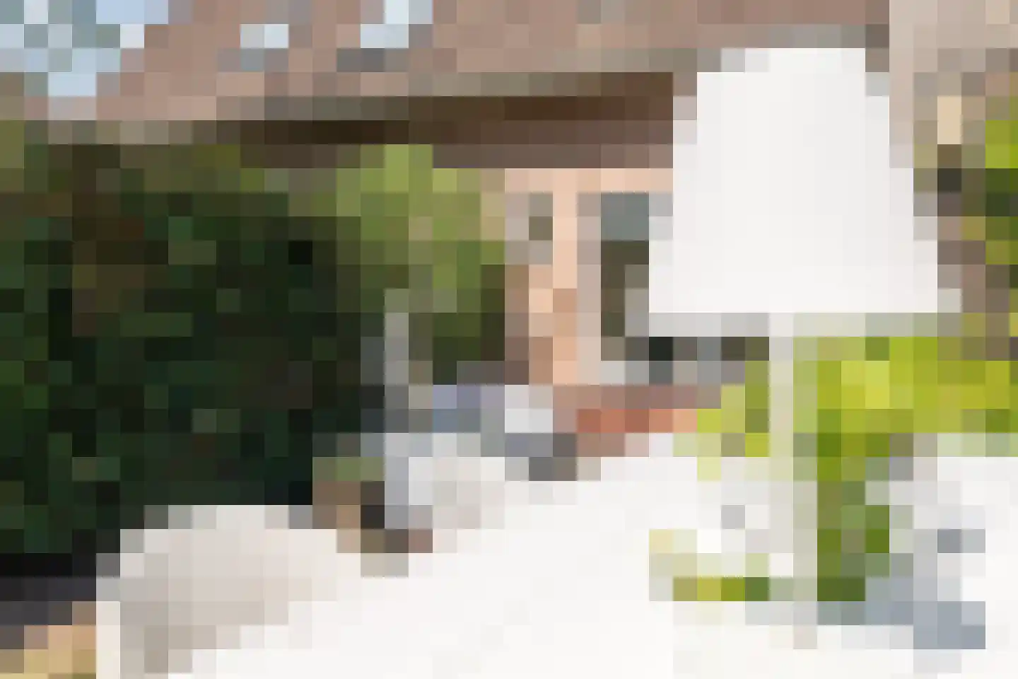 Bolster 9 Zuidwolde thumbnail 35