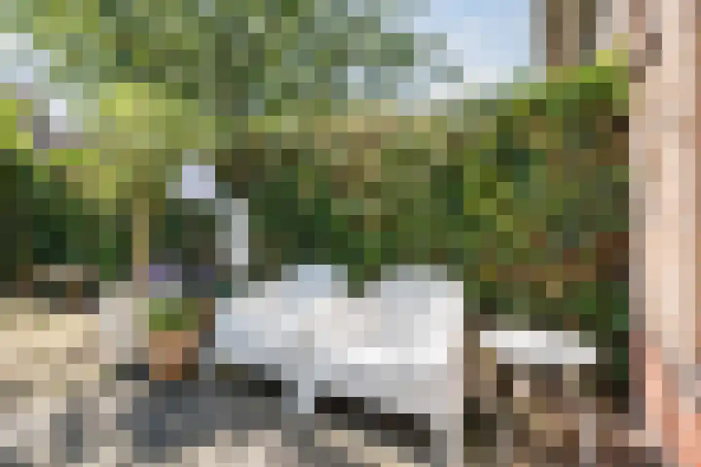 Bolster 9 Zuidwolde thumbnail 36