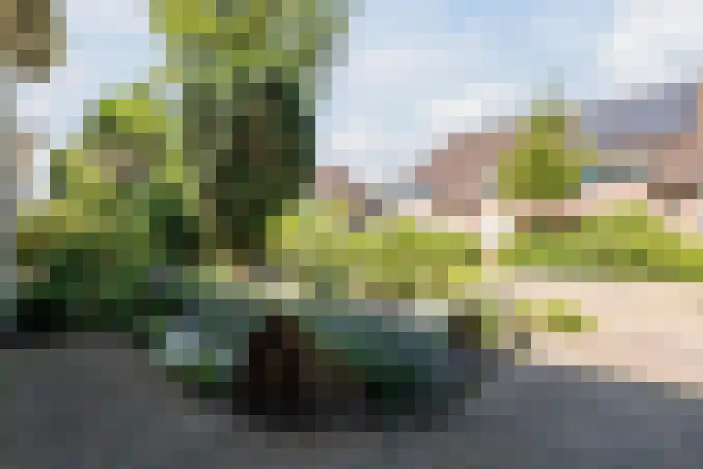Bolster 9 Zuidwolde thumbnail 37