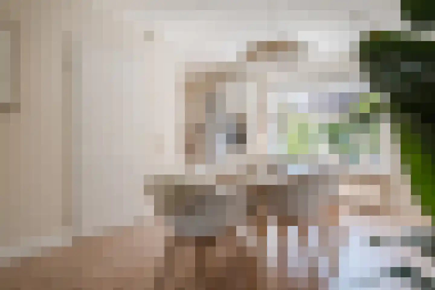 Bolster 9 Zuidwolde thumbnail 8