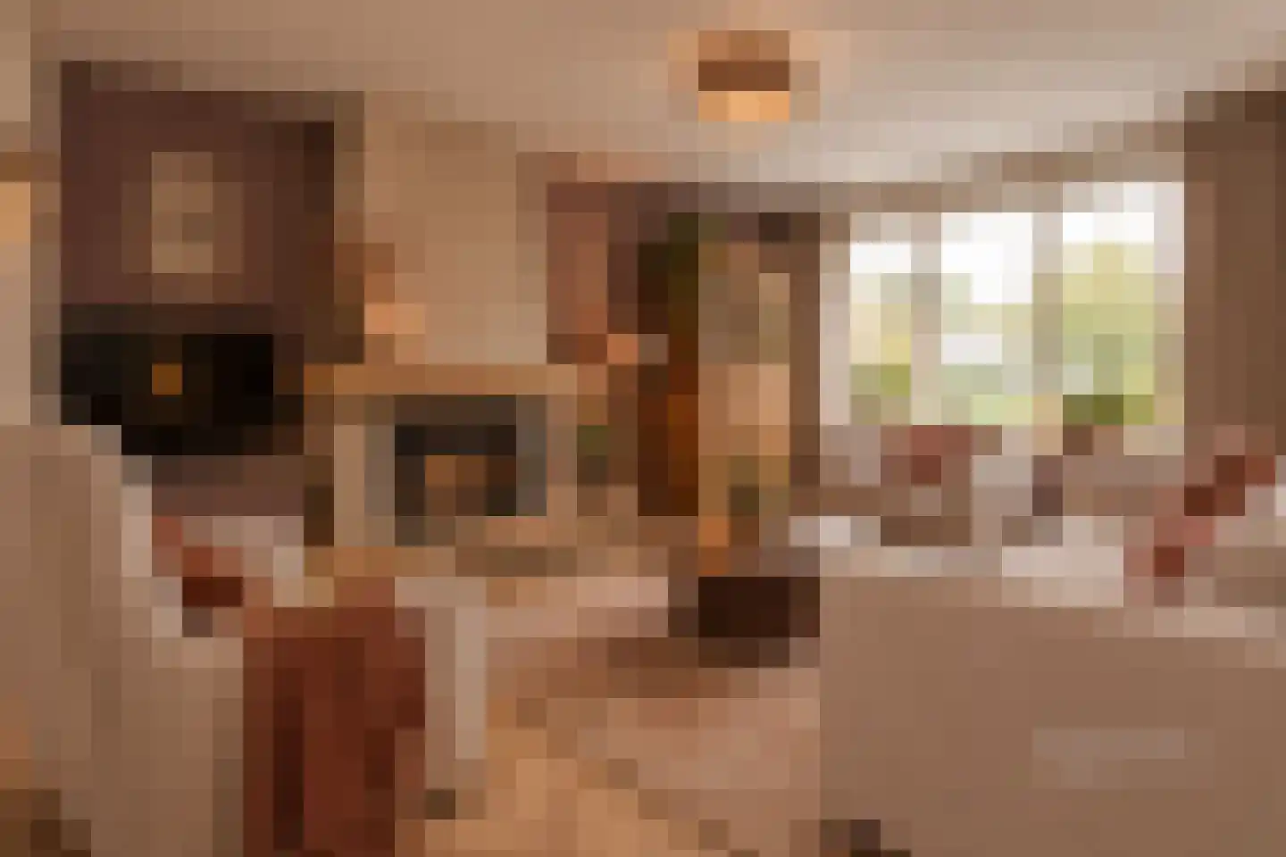Bolsterstraat 11 Slagharen thumbnail 11