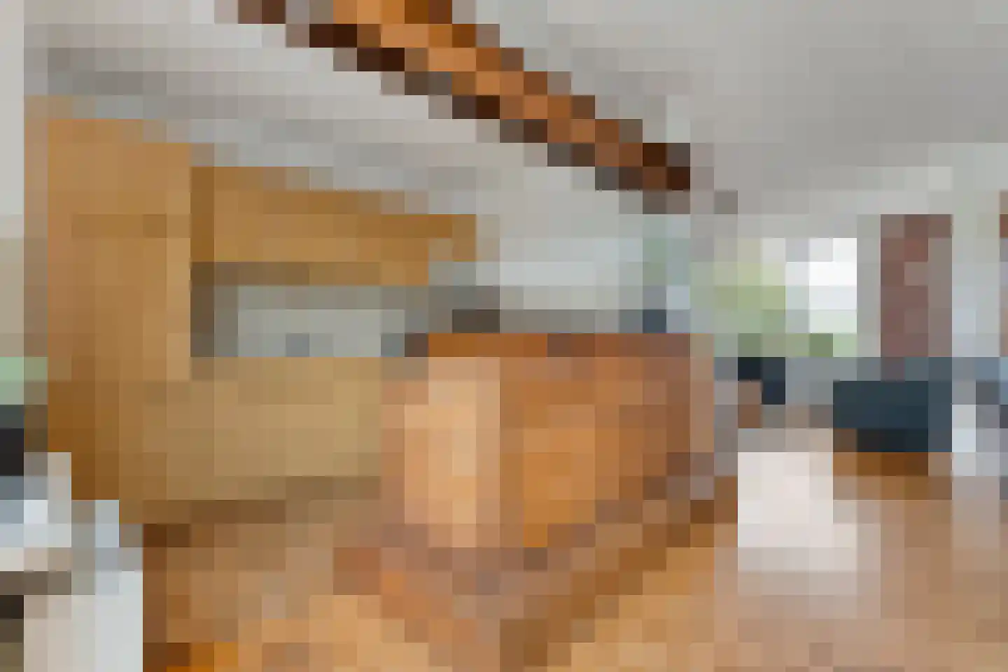 Bolsterstraat 11 Slagharen thumbnail 22