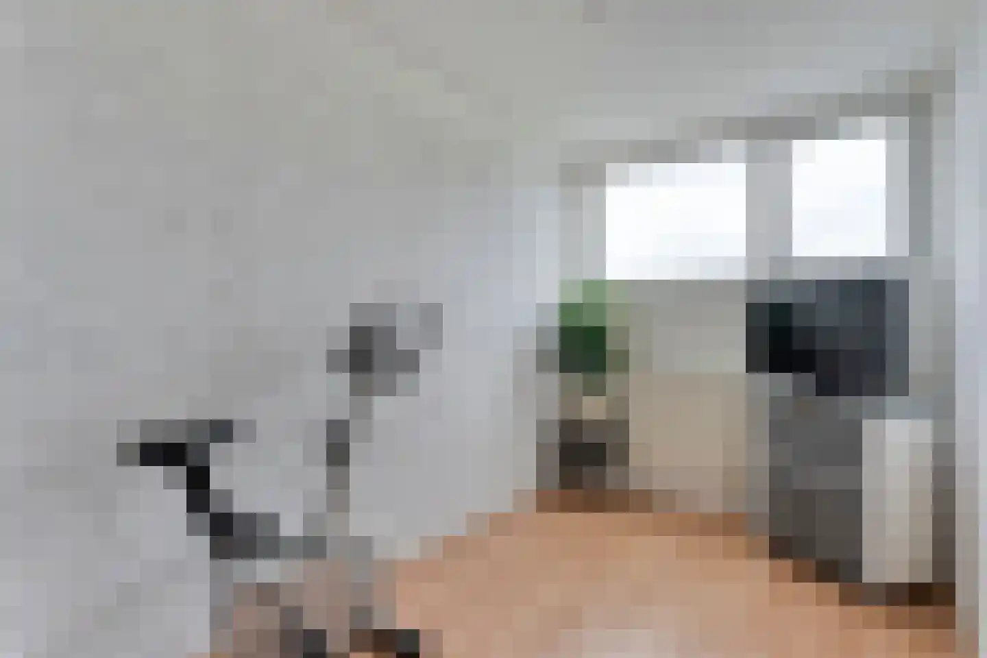 Bolsterstraat 11 Slagharen thumbnail 31